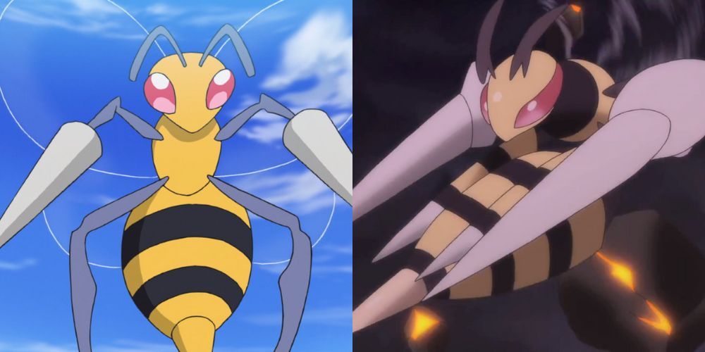 Beedrill & Mega Beedrill in the Pokemon Anime.