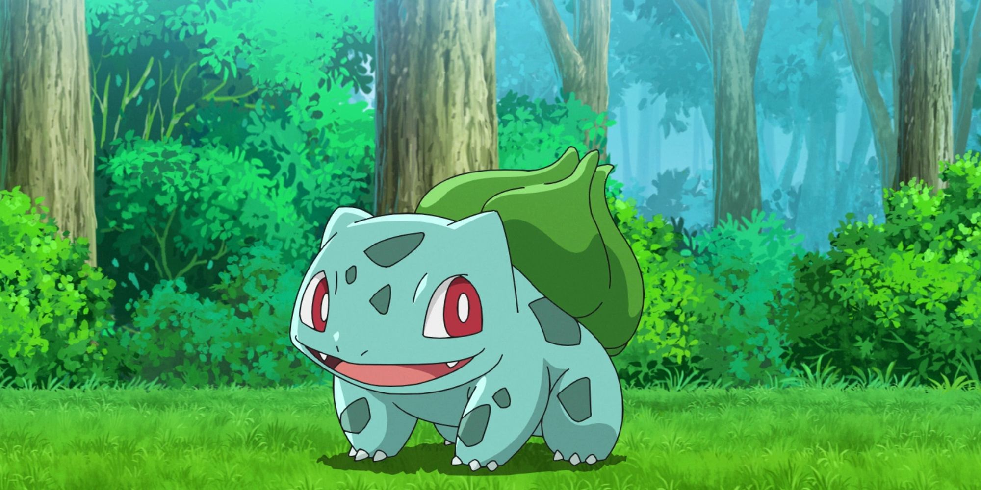 Bulbasaur In The Pokemon Anime