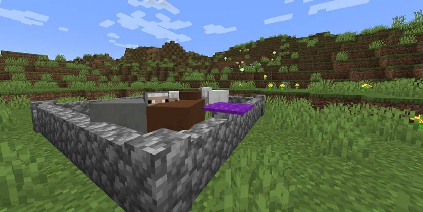 Carpet Fence Cropped