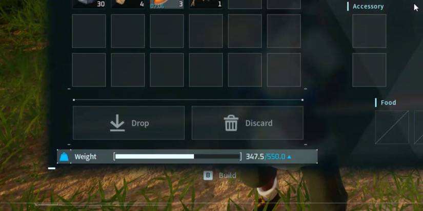 Palworld: the Weight stat