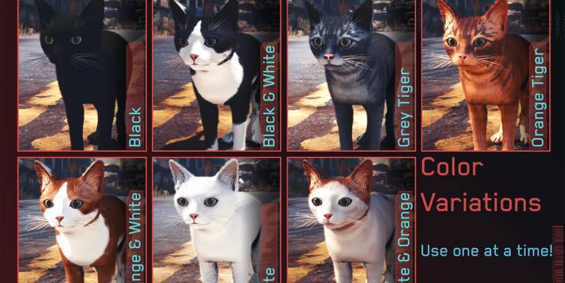 Cat Replacers for Nibbles