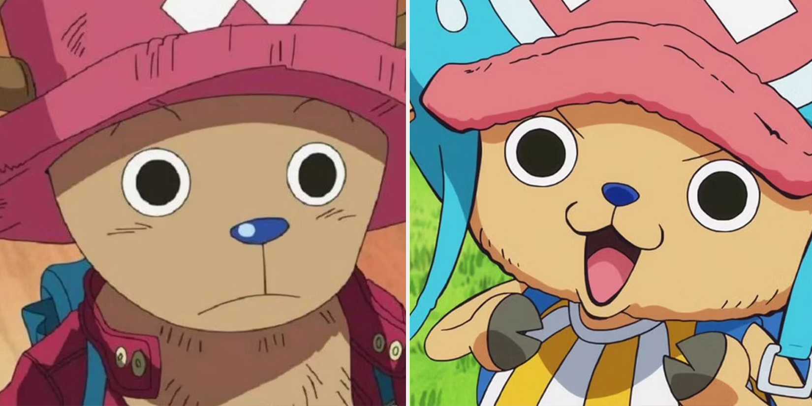 chopper one piece pre and post timeskip