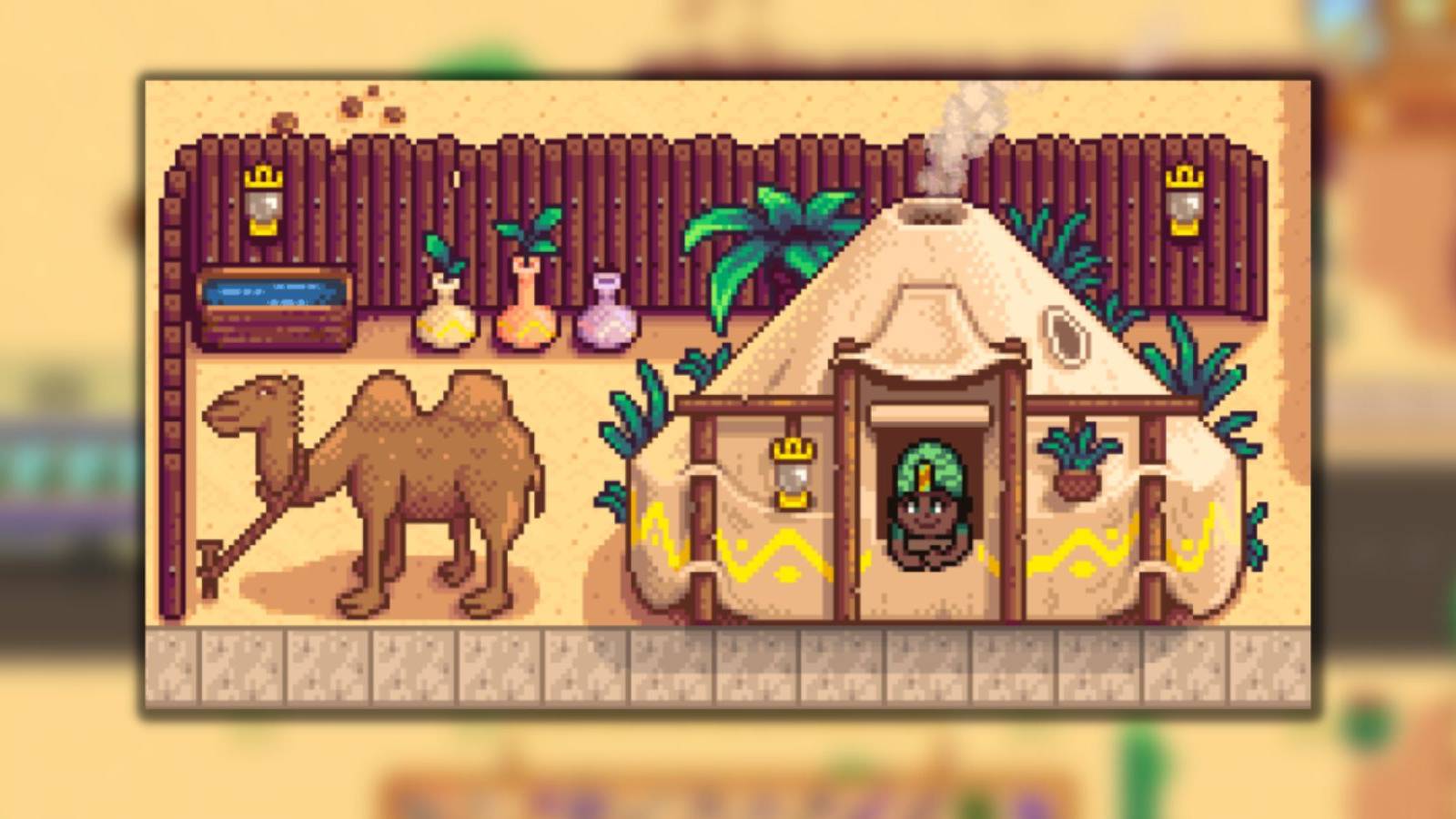 the desert trader in stardew valley.