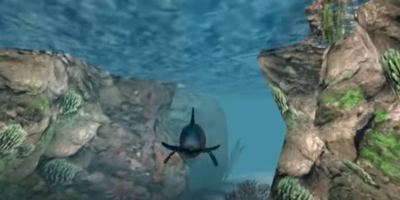 ecco swimming through the water