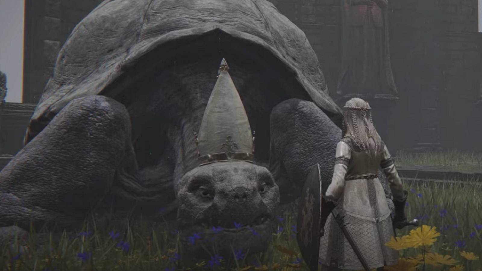 elden-ring-pope-turtle