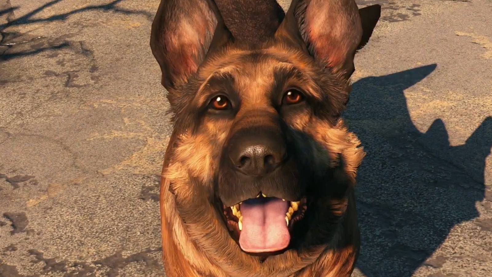 fallout-4-talking-dogs-glitch