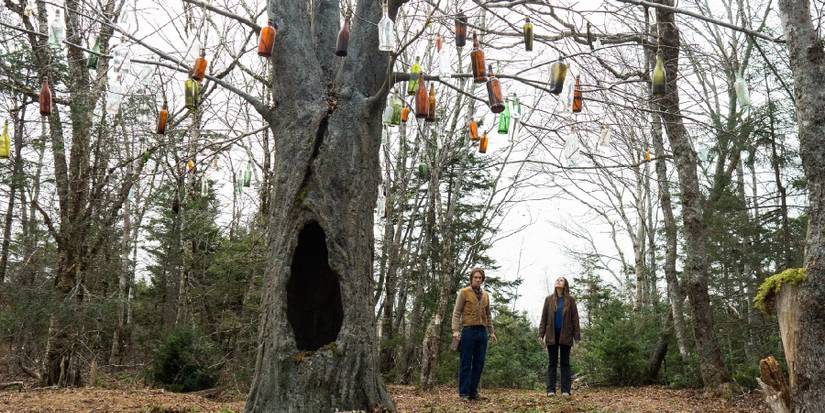 Tree with hanging bottles in From