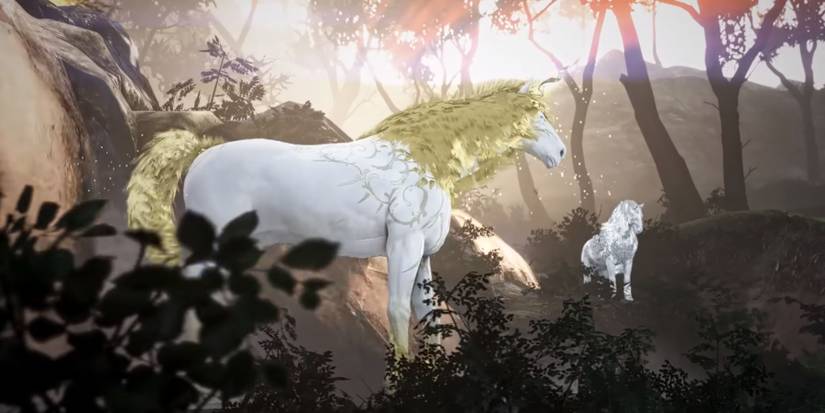 Gathering of Unicorns