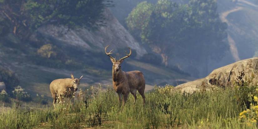 GTA 5 deer looking at camera on grassy hill