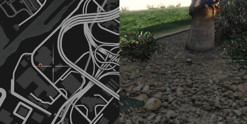 GTA Online Peyote Cactus Locations Number 1