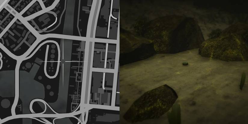 GTA Online Peyote Cactus Locations Number 10