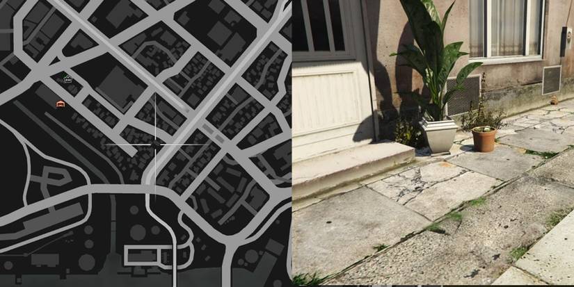 GTA Online Peyote Cactus Locations Number 11
