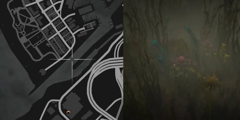 GTA Online Peyote Cactus Locations Number 14