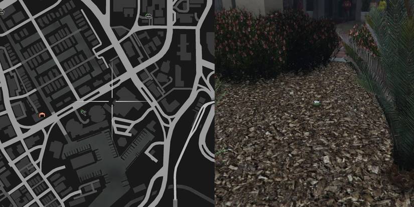 GTA Online Peyote Cactus Locations Number 15