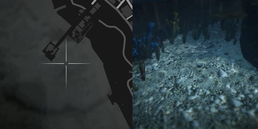 GTA Online Peyote Cactus Locations Number 16