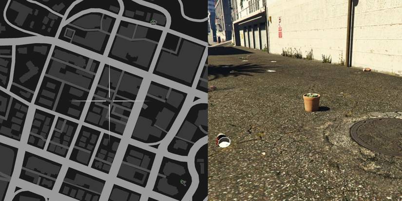 GTA Online Peyote Cactus Locations Number 23