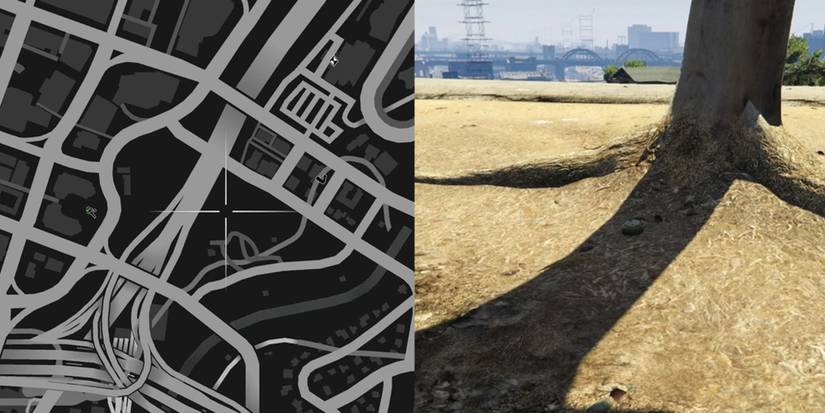 GTA Online Peyote Cactus Locations Number 24