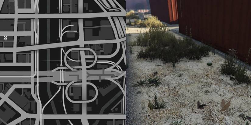 GTA Online Peyote Cactus Locations Number 26