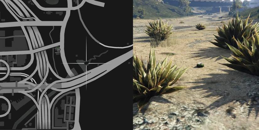GTA Online Peyote Cactus Locations Number 28