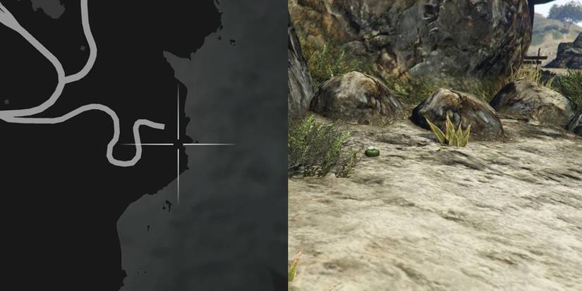 GTA Online Peyote Cactus Locations Number 29