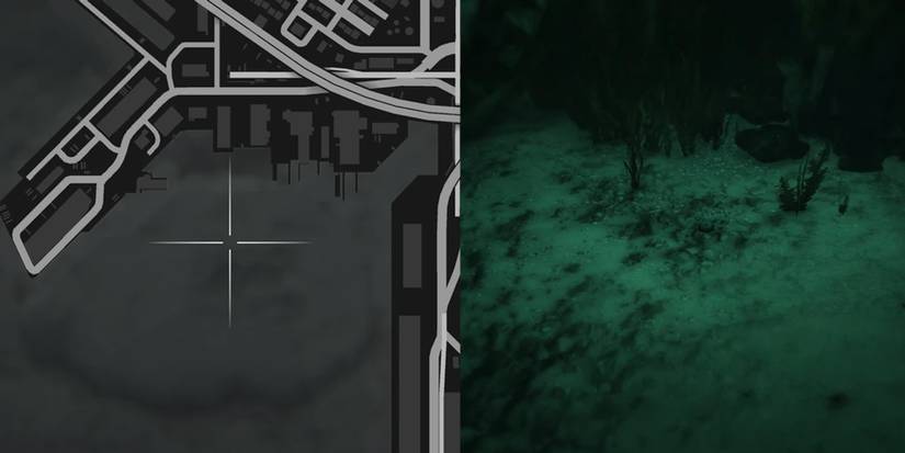 GTA Online Peyote Cactus Locations Number 3