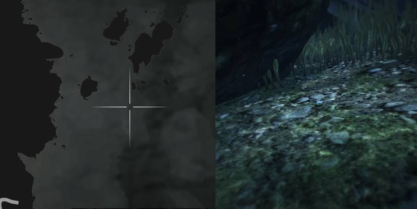 GTA Online Peyote Cactus Locations Number 30