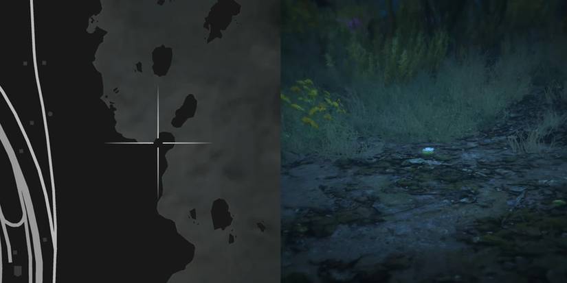 GTA Online Peyote Cactus Locations Number 31