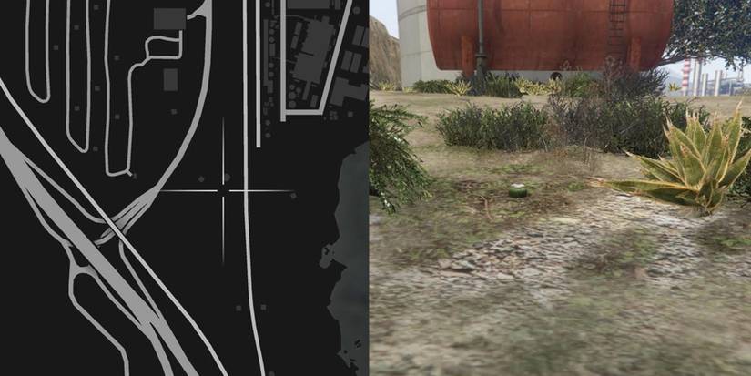 GTA Online Peyote Cactus Locations Number 32