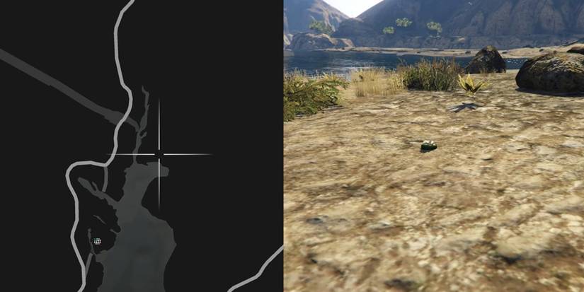 GTA Online Peyote Cactus Locations Number 33