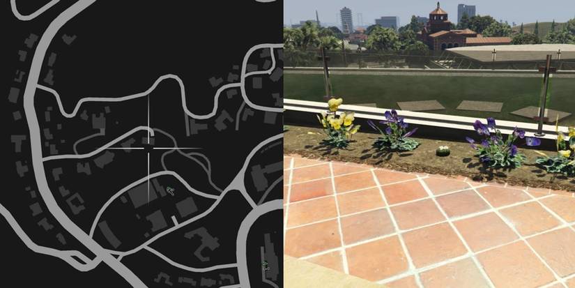 GTA Online Peyote Cactus Locations Number 37