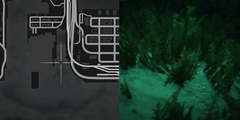 GTA Online Peyote Cactus Locations Number 4