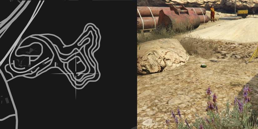 GTA Online Peyote Cactus Locations Number 47