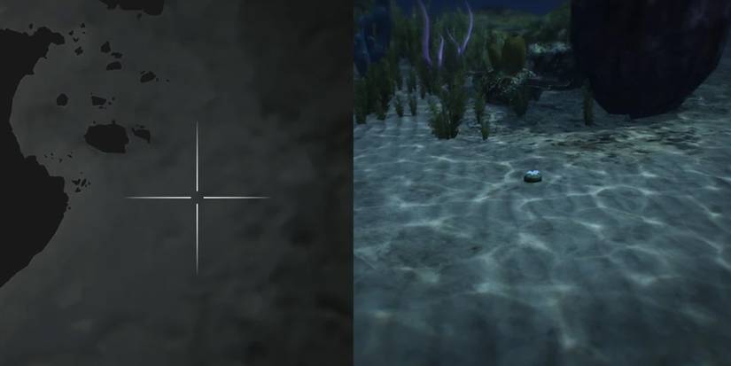 GTA Online Peyote Cactus Locations Number 48