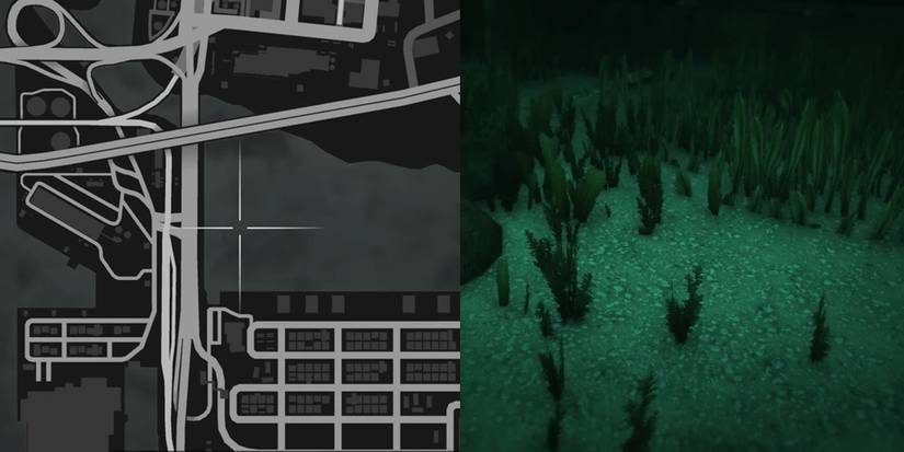 GTA Online Peyote Cactus Locations Number 5