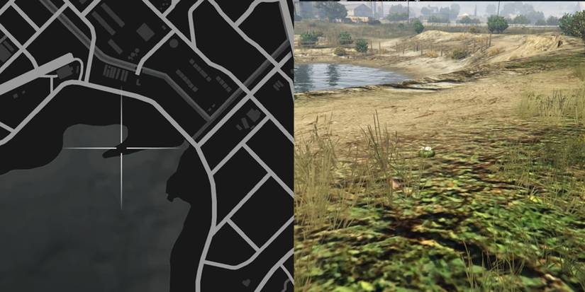 GTA Online Peyote Cactus Locations Number 50