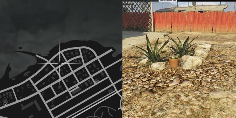 GTA Online Peyote Cactus Locations Number 52