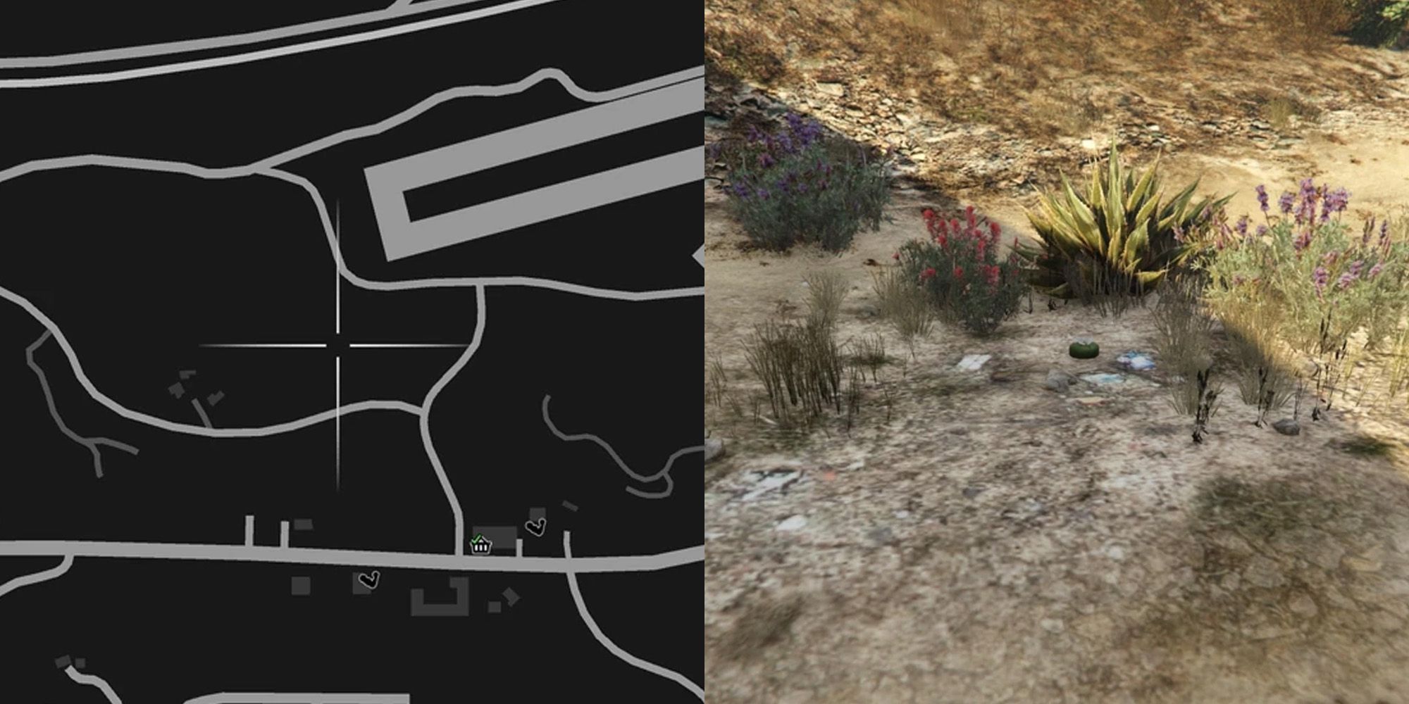 GTA Online All Peyote Plant Locations (and Animals)