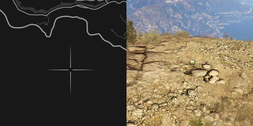 GTA Online Peyote Cactus Locations Number 59