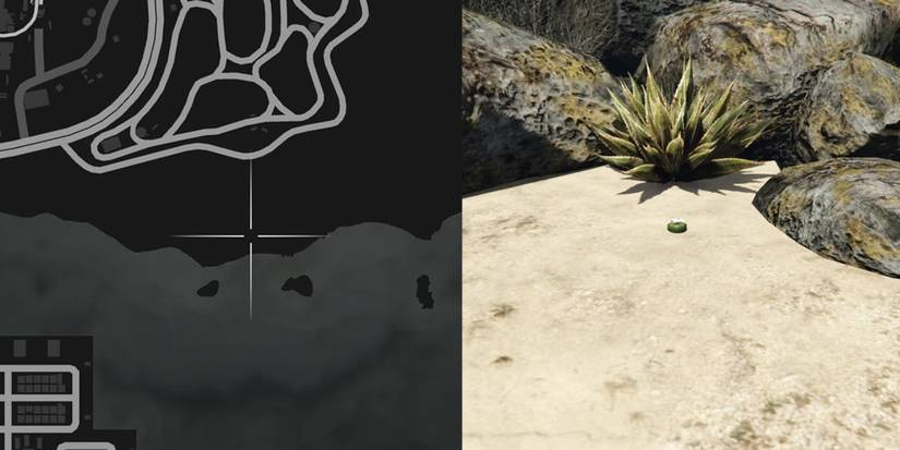 GTA Online Peyote Cactus Locations Number 6
