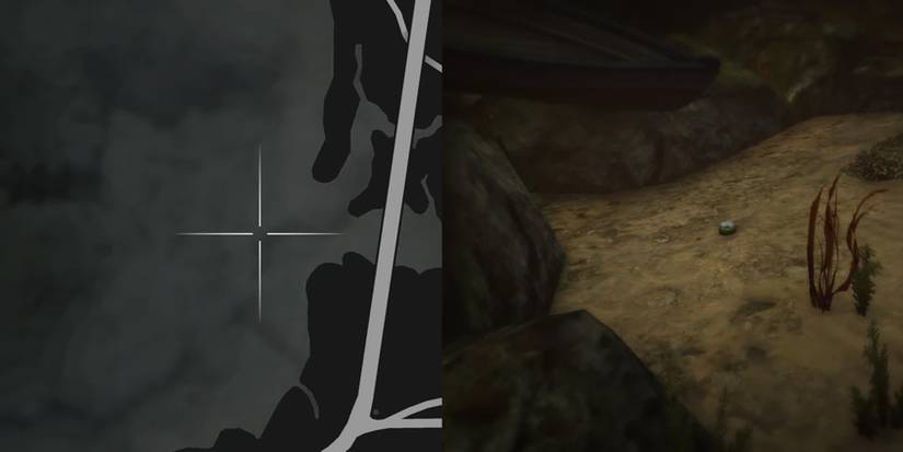 GTA Online Peyote Cactus Locations Number 61