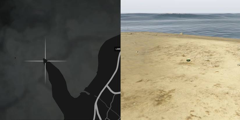 GTA Online Peyote Cactus Locations Number 66