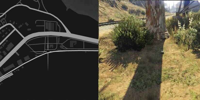 GTA Online Peyote Cactus Locations Number 68