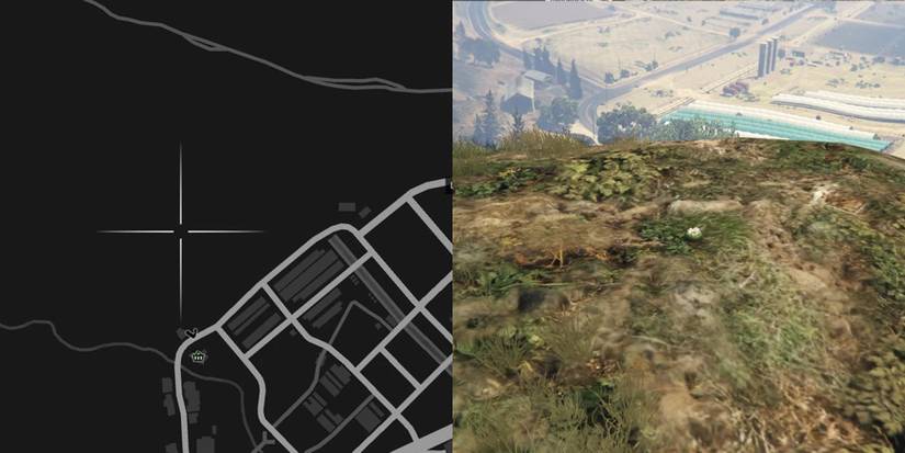 GTA Online Peyote Cactus Locations Number 76