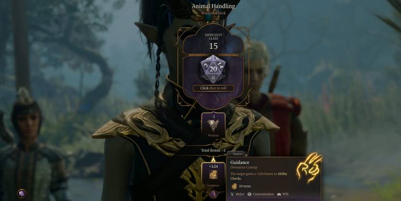 guidance on roll bg3