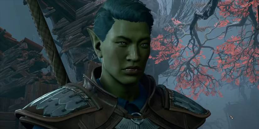 harpers in cursed shadow lands