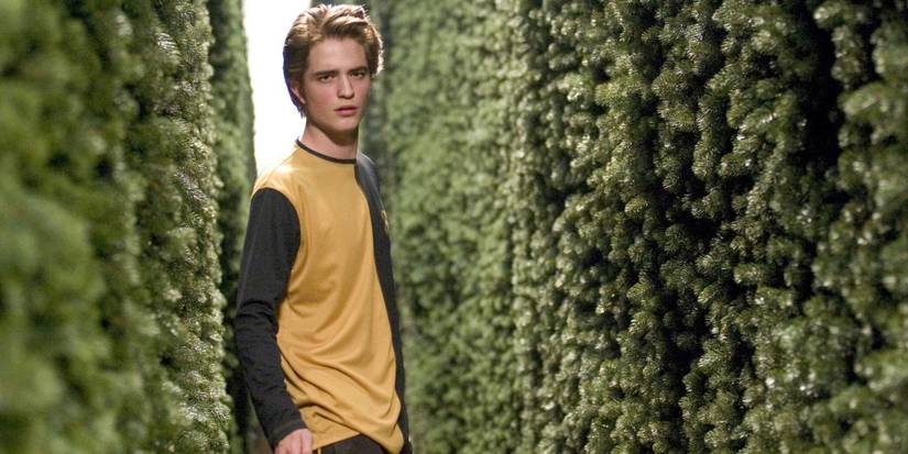 An image of Harry Potter: Cedric Diggory