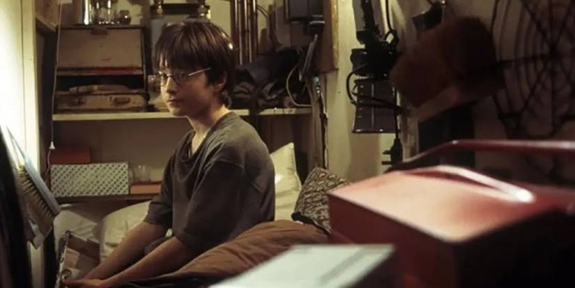 An image of Harry Potter: Child Abuse