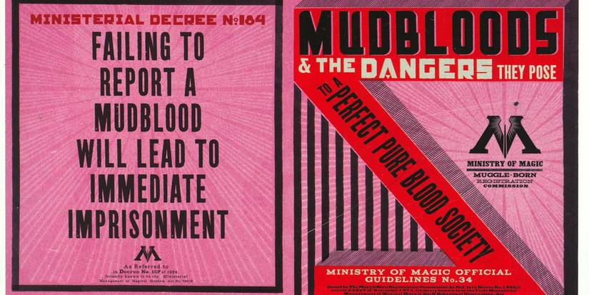 An image of Harry Potter: Racial Segregation