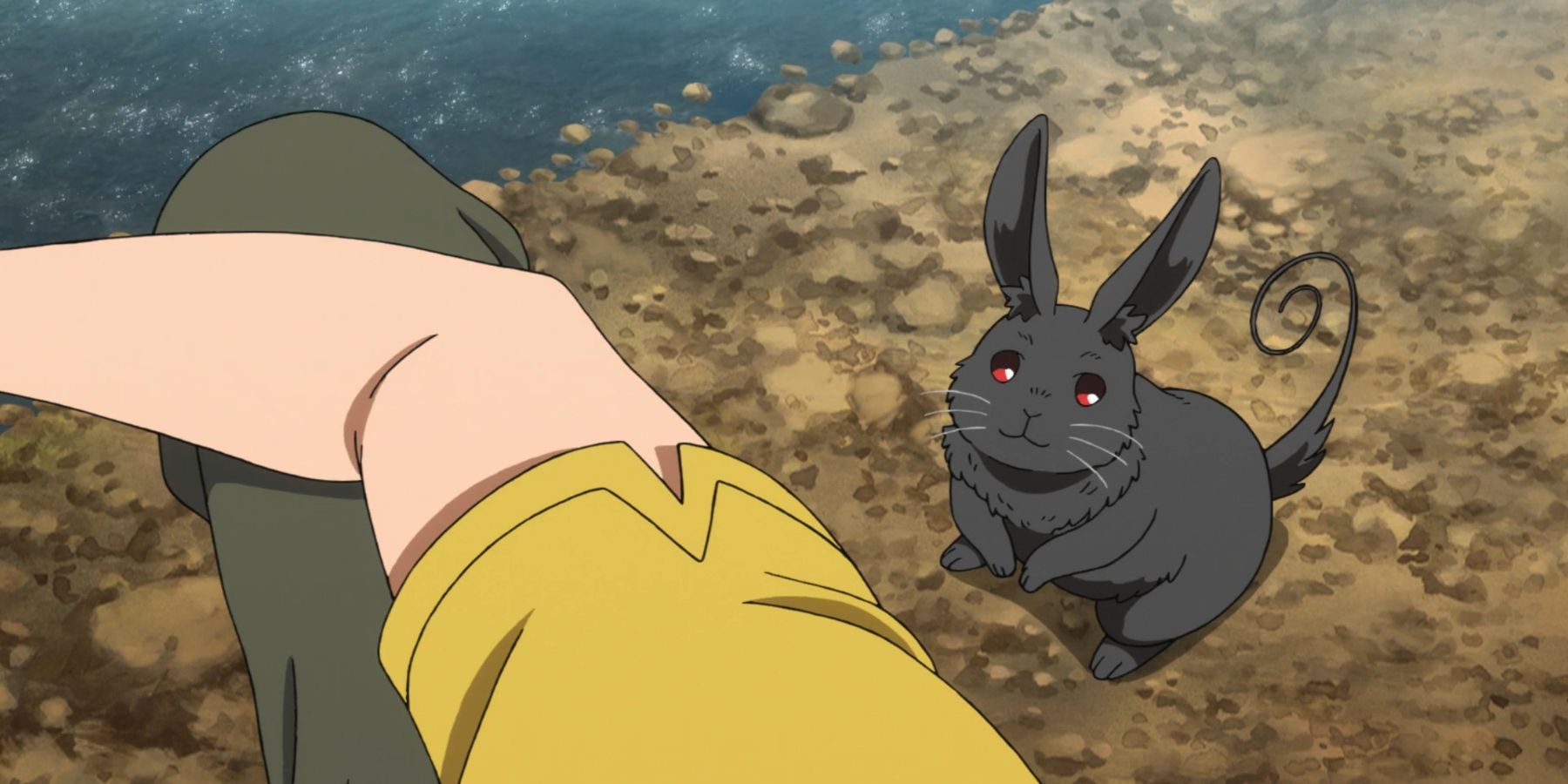 Kukuru the Black Rabbit