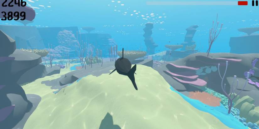 A shark swimming forward over sand